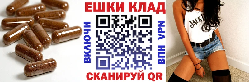 Ecstasy бентли  Новосиль 