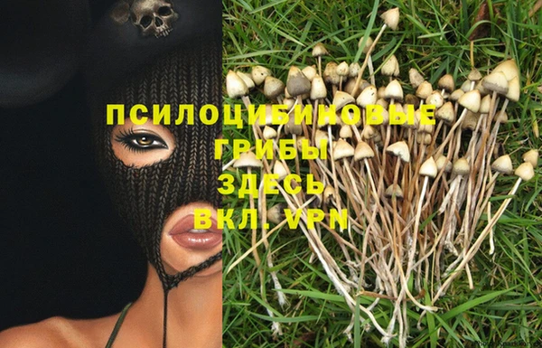 герыч Аркадак