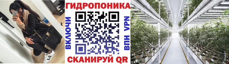 как найти наркотики Новосиль Канабис Bruce Banner